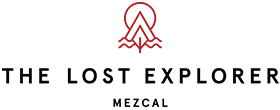 The Lost Explorer logo
