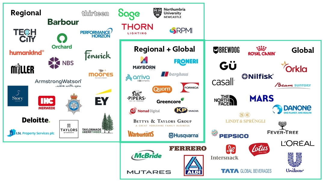 Regional and global clients we've worked with