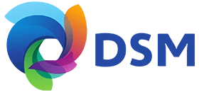 DSM logo